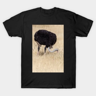 Ostrich. T-Shirt